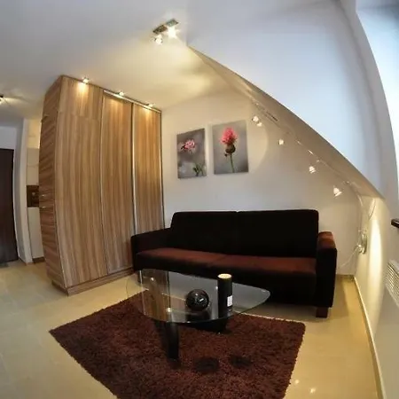 דירה Apartament-nosal זקופאנה